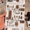 Kits Pre đèn 6sn7